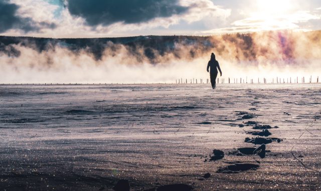 Workaway mongolie volontariat voyage