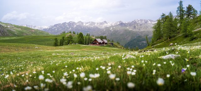 Alpes du sud : Randonnée refuge chardonnet clarée